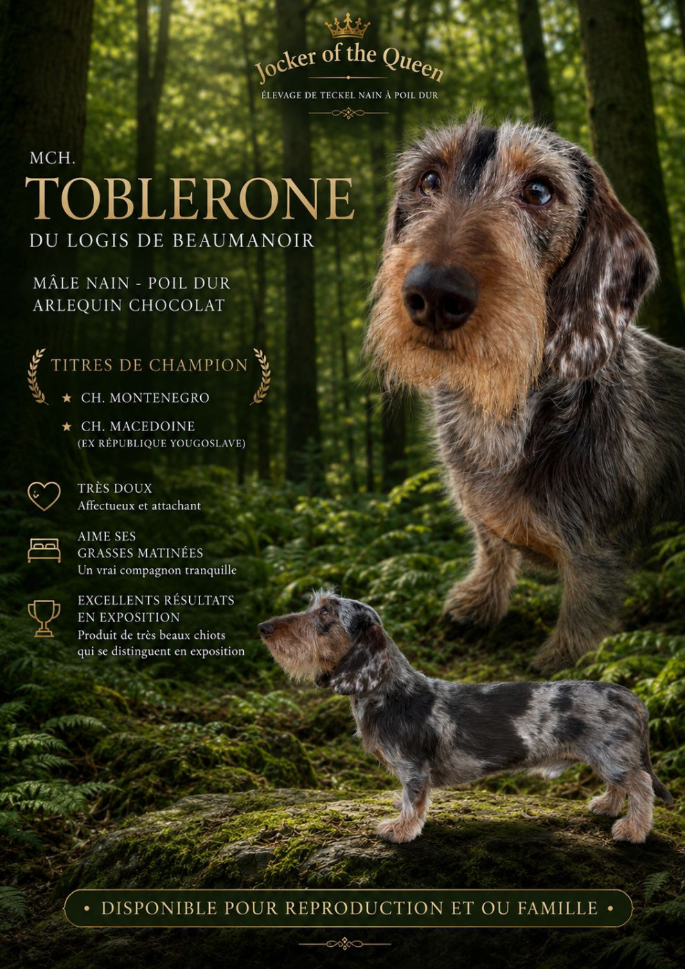 Toblerone Du logis de beaumanoir